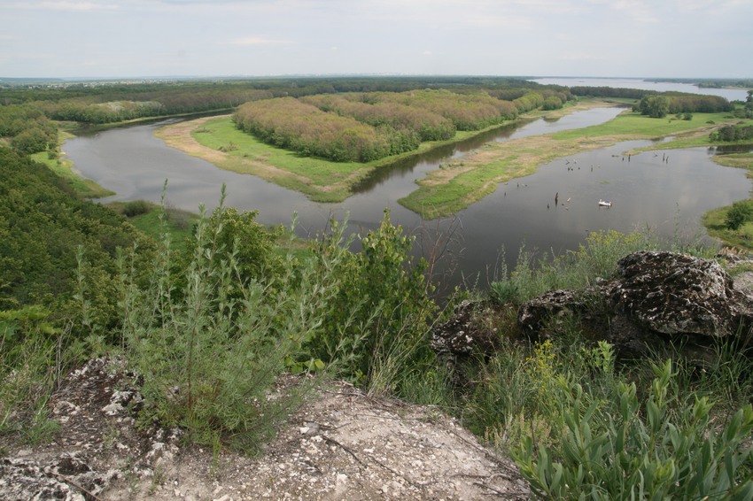 Вислый камень змеиный Затон