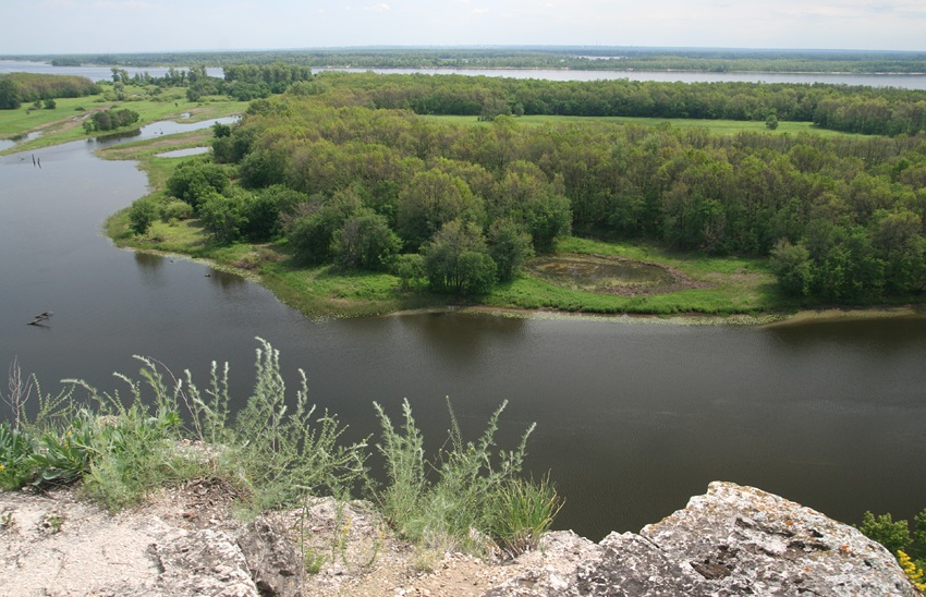 Вислый камень змеиный Затон